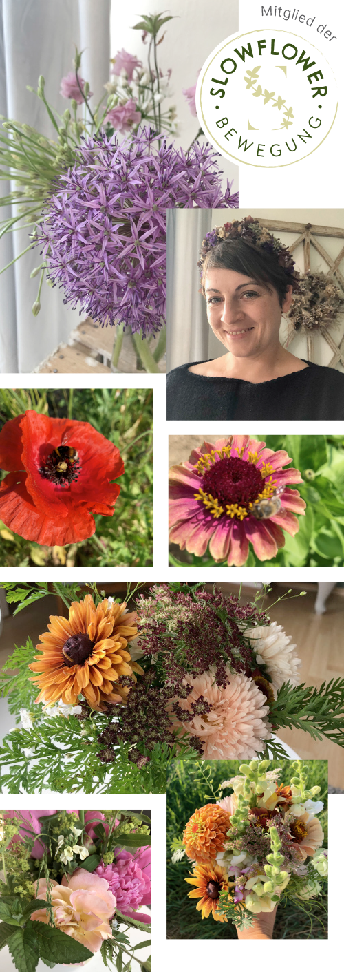 blumenwild – Schnittblumen/Slowflowers aus Reutlingen