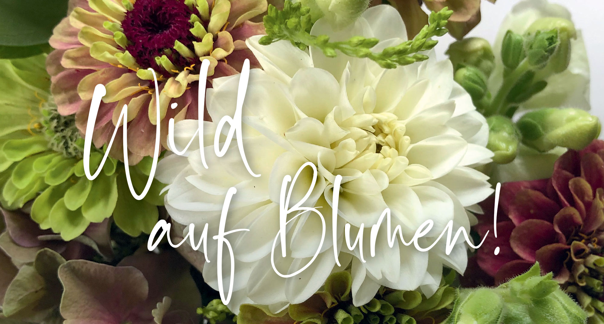 blumenwild – Wir sind wild auf Blumen!